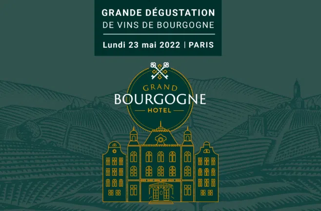 vin bourgogne