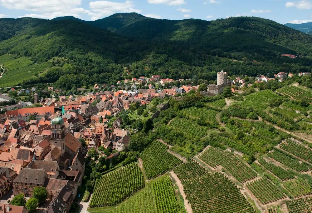 ALSACE ROCKS ! La Tournée des Terroirs