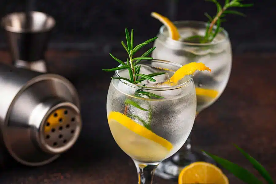 critères pour choisir son gin